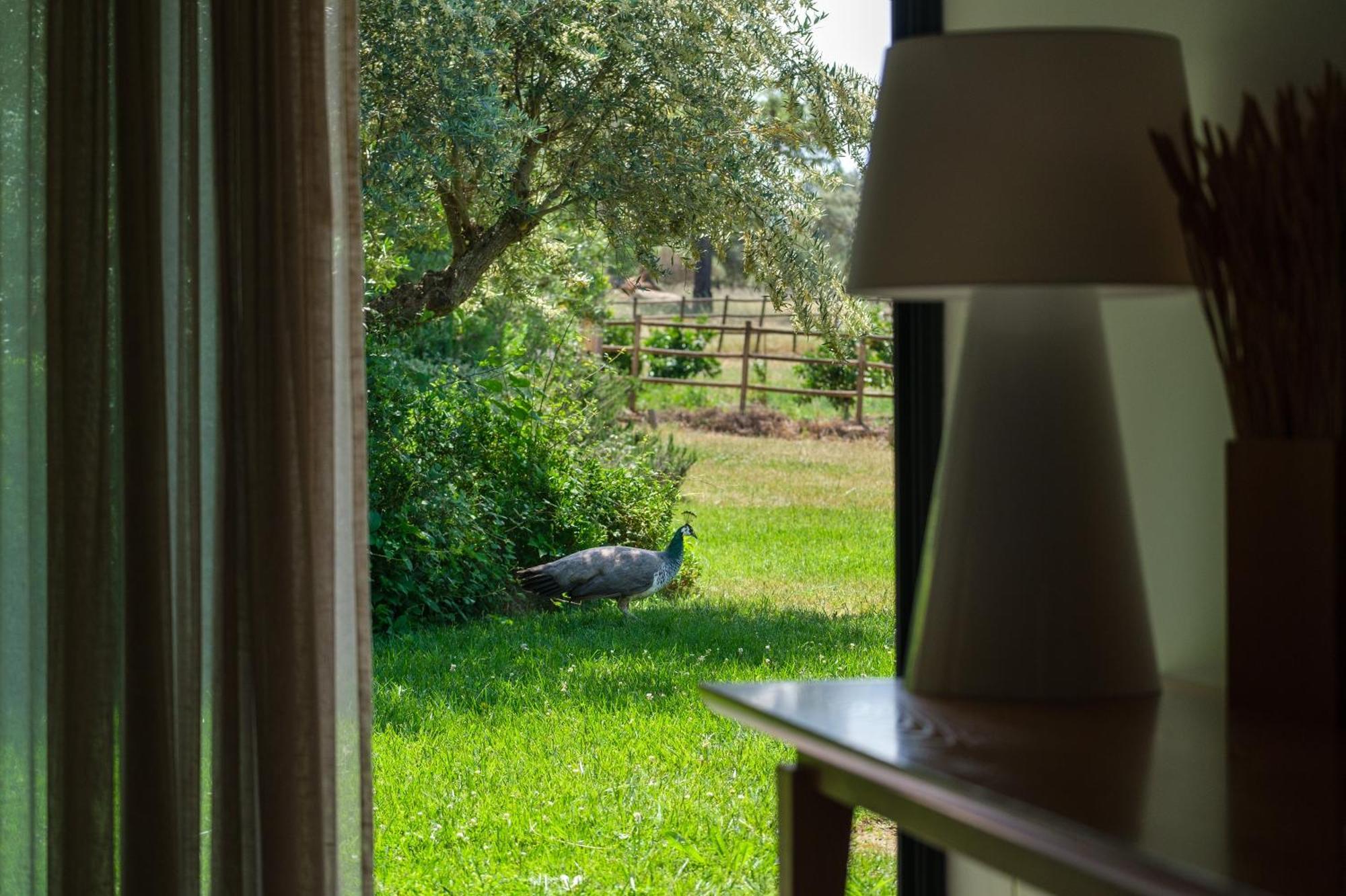 Herdade Da Cortesia Hotel Avis Exterior foto